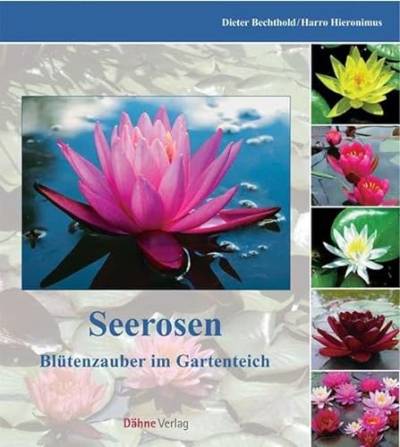 Seerosen: Blütenpracht im Gartenteich von Daehne Verlag